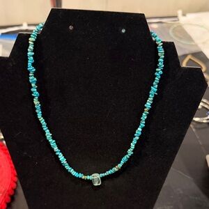 Robert Rose Turquoise Chip Bead Necklace with Center Crystal Accent